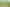627 Waitomo Valley Road, Otorohanga