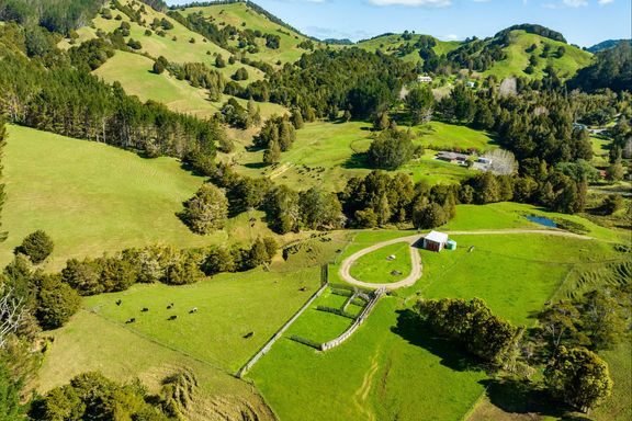 Sold - 255 O'carroll Road, Maungakaramea - realestate.co.nz