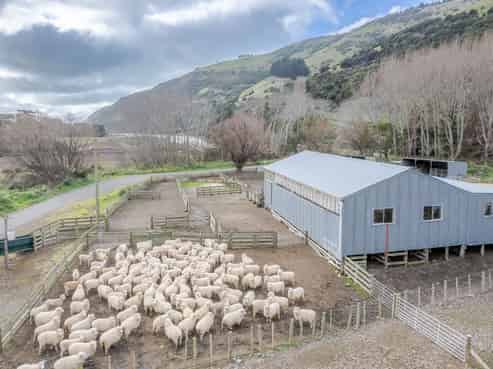 689 Le Bons Bay Road, Le Bons Bay