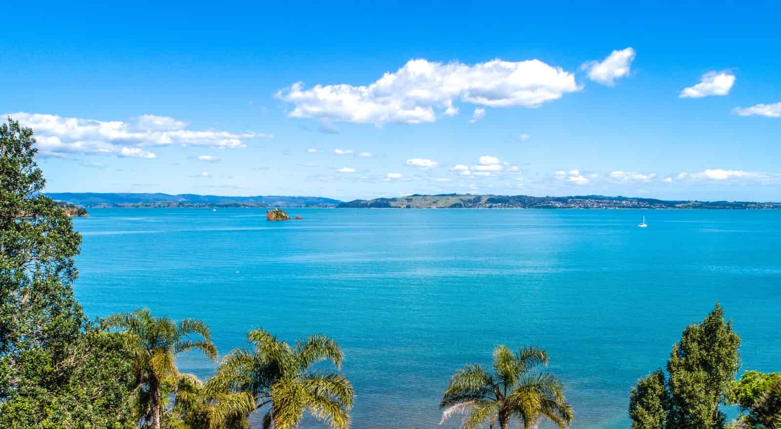 30 and 32 Wairua Road, Omiha, Waiheke Island For Sale realestate.co.nz