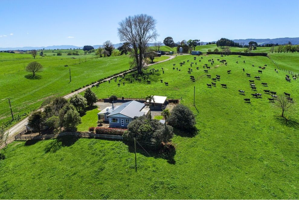 457 State Highway 5, Tirau, South Waikato For Sale realestate.co.nz