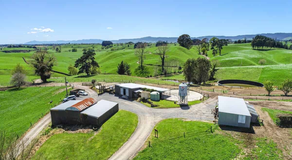 457 State Highway 5, Tirau, South Waikato For Sale realestate.co.nz