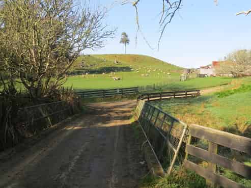361 Brien Road, Onewhero