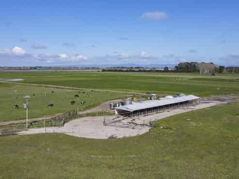 226 Wainui Road, Matatoki