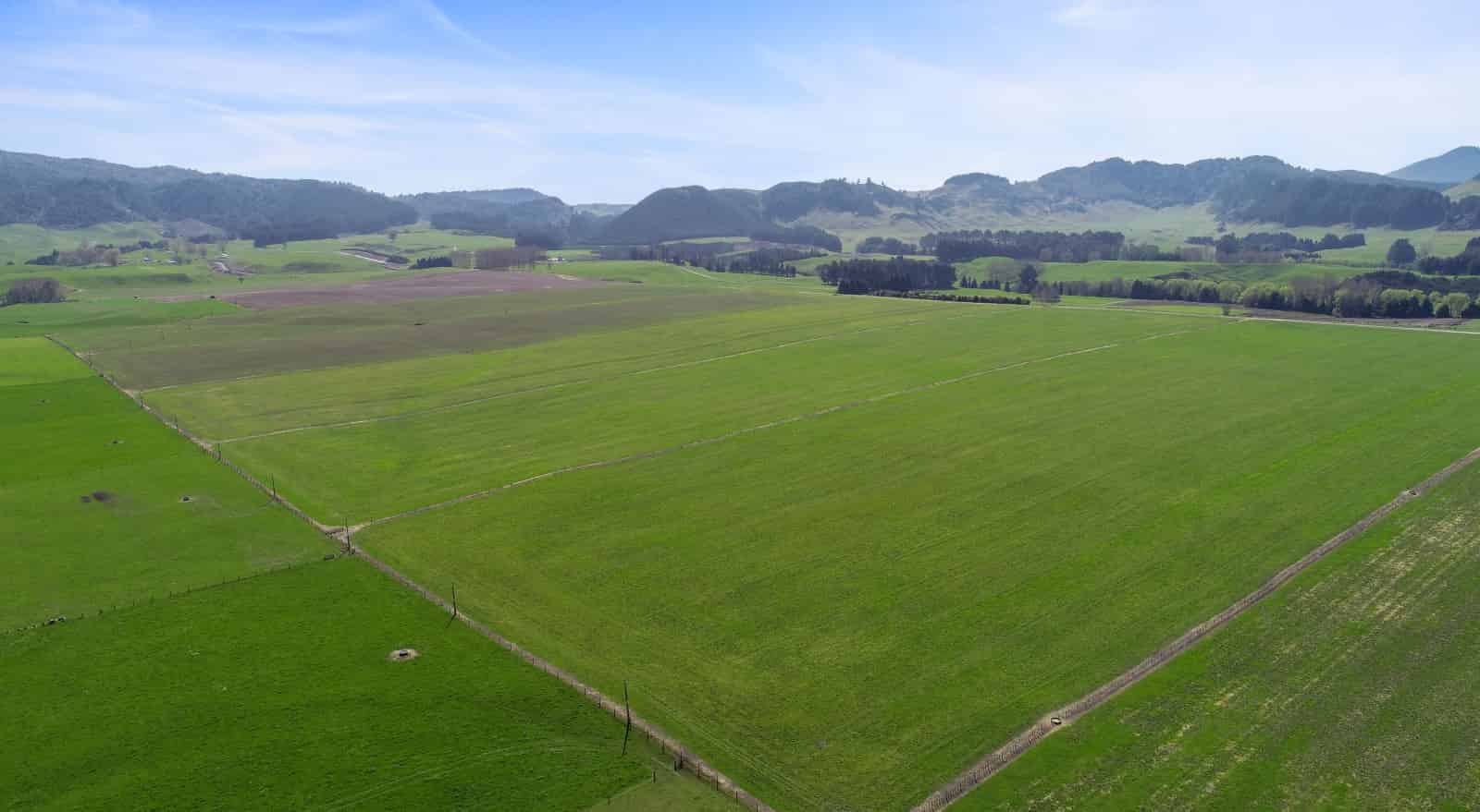 3088A State Highway 5, Reporoa, Rotorua For Sale realestate.co.nz