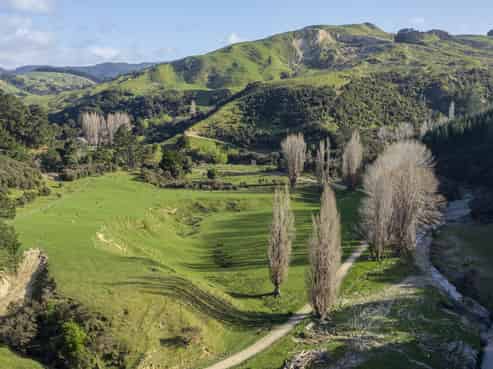 6472 Route 52, Pongaroa