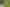61 Sommerville Road, Mauku