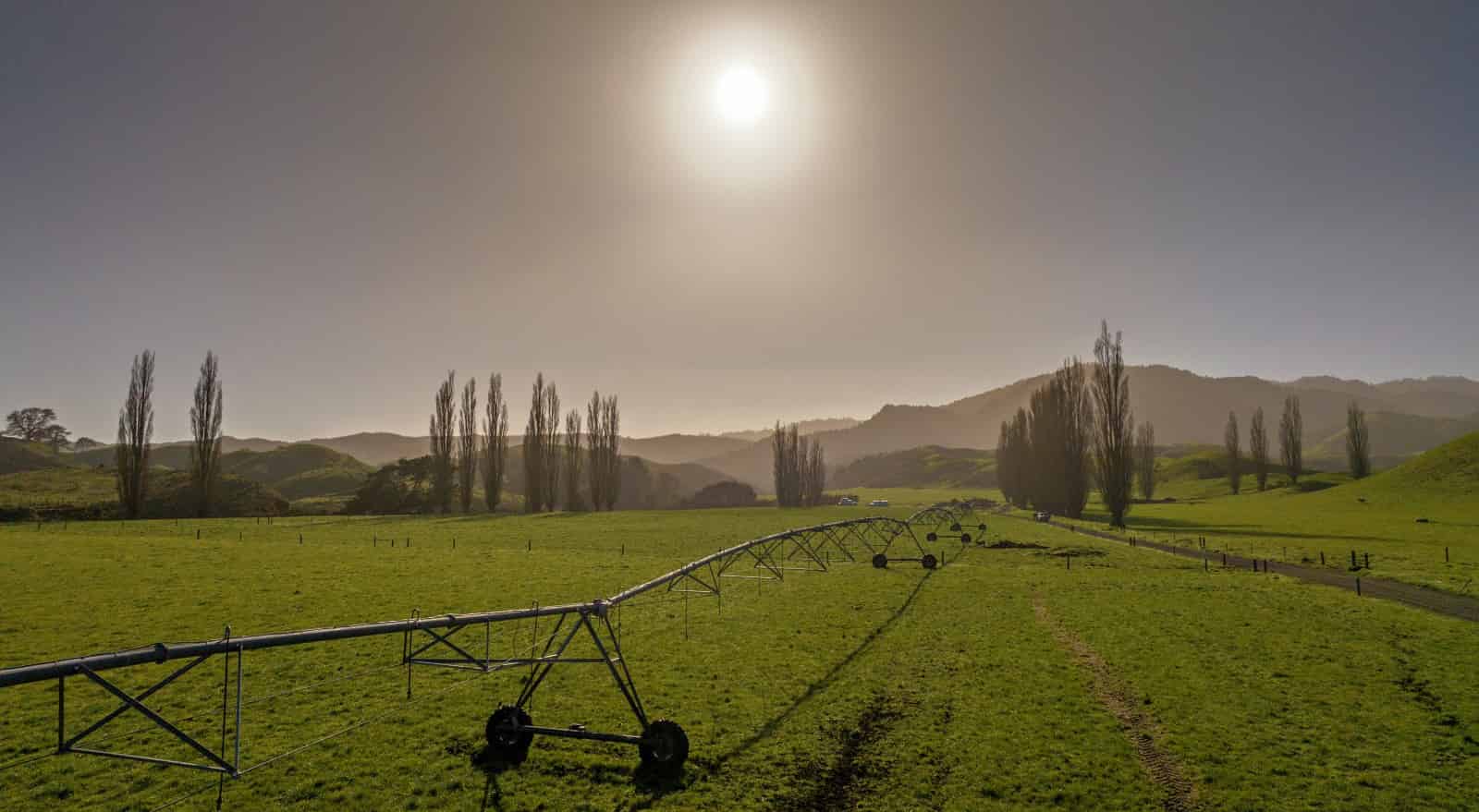 3931 Galatea Road, Galatea, Whakatane For Sale realestate.co.nz