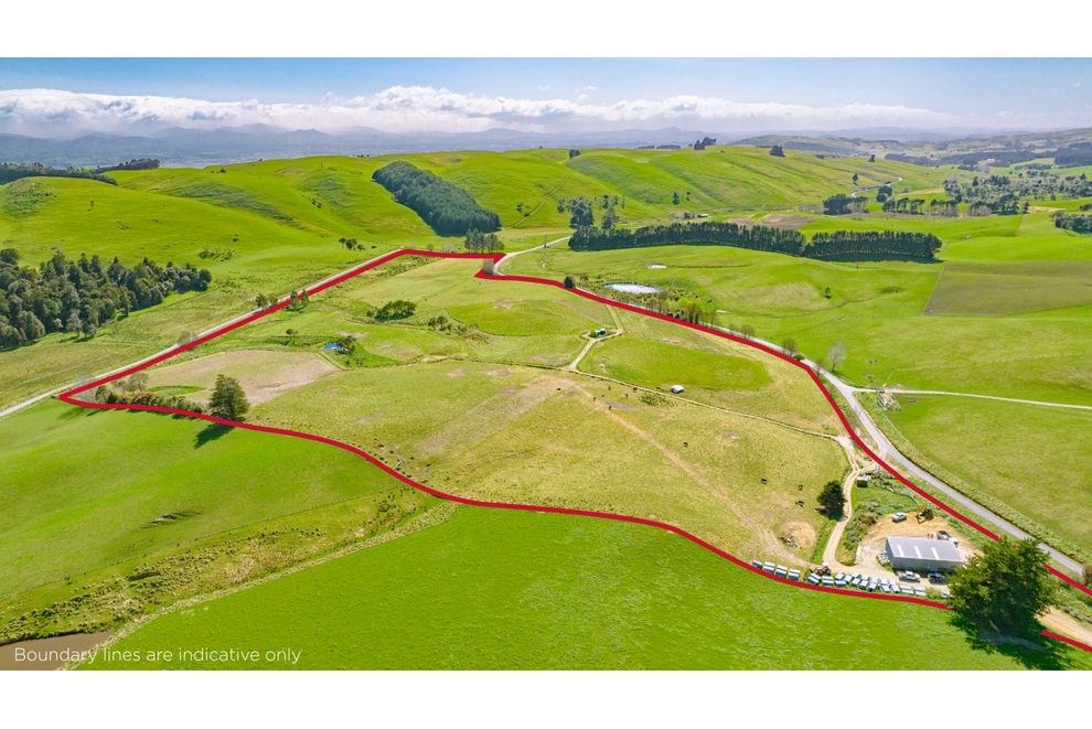 Admiral Road, Gladstone, Carterton For Sale realestate.co.nz