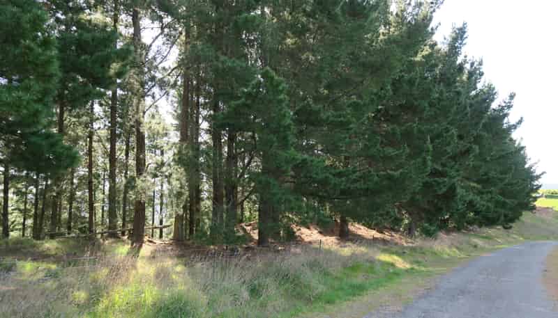 488 Delta Lake Heights, Renwick