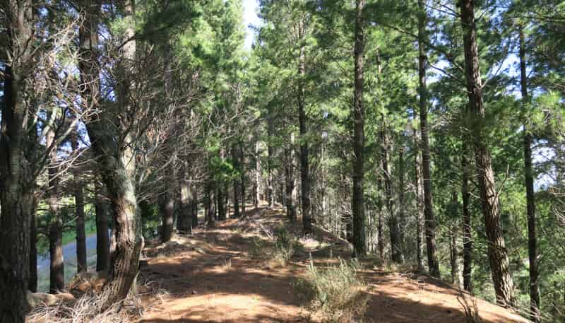488 Delta Lake Heights, Renwick
