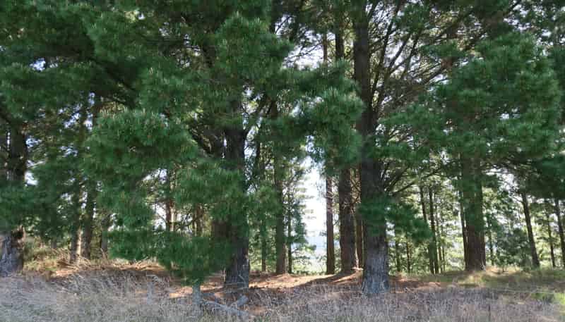 488 Delta Lake Heights, Renwick