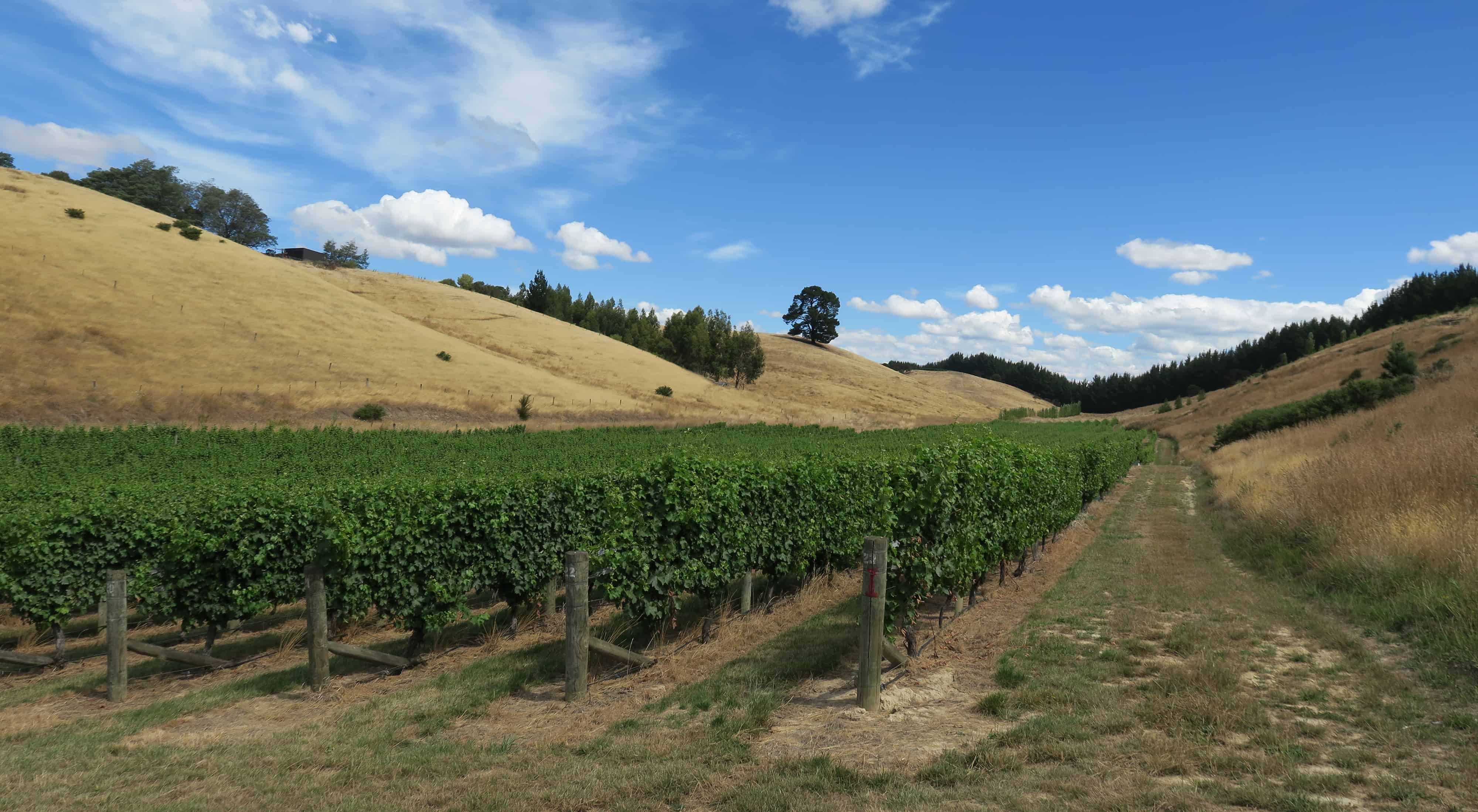 488 Delta Lake Heights, Renwick, Marlborough For Sale realestate.co.nz