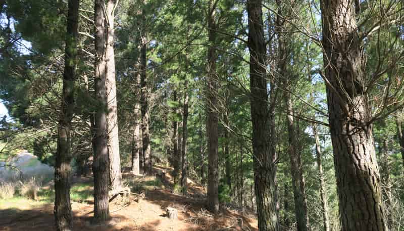 488 Delta Lake Heights, Renwick