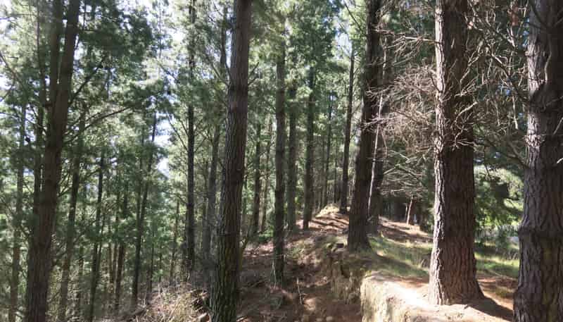 488 Delta Lake Heights, Renwick