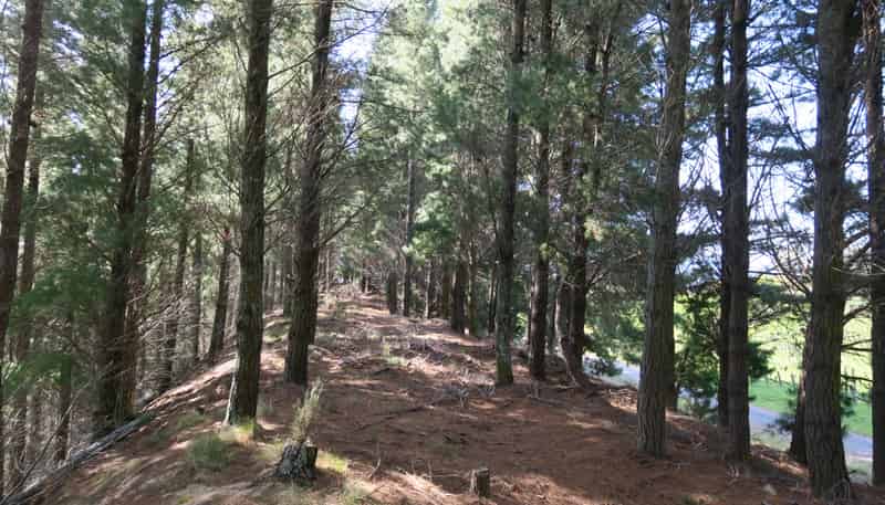 488 Delta Lake Heights, Renwick