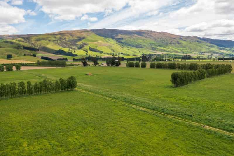 Ettrick Homes and Real Estate for Sale realestate.co.nz