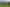 Lot 1 627 Waitomo Valley Road, Otorohanga