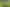Lot 1 627 Waitomo Valley Road, Otorohanga
