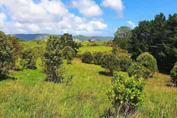  Pinehill Road, Omapere