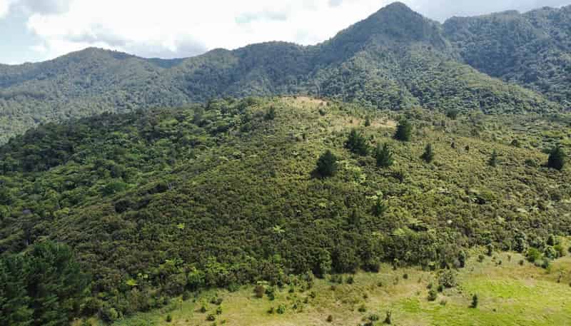 Pinehill Road, Omapere