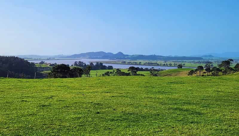  Pouto Road and Sarich Road, Te Kopuru