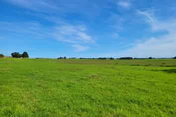  Pouto Road and Sarich Road, Te Kopuru