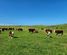 409 Baylys Basin Road, Dargaville Surrounds, Kaipara, Northland
