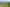 51 Jones Deviation, Pauatahanui