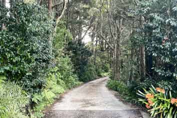 49 Tamerlane Road, Wellsford