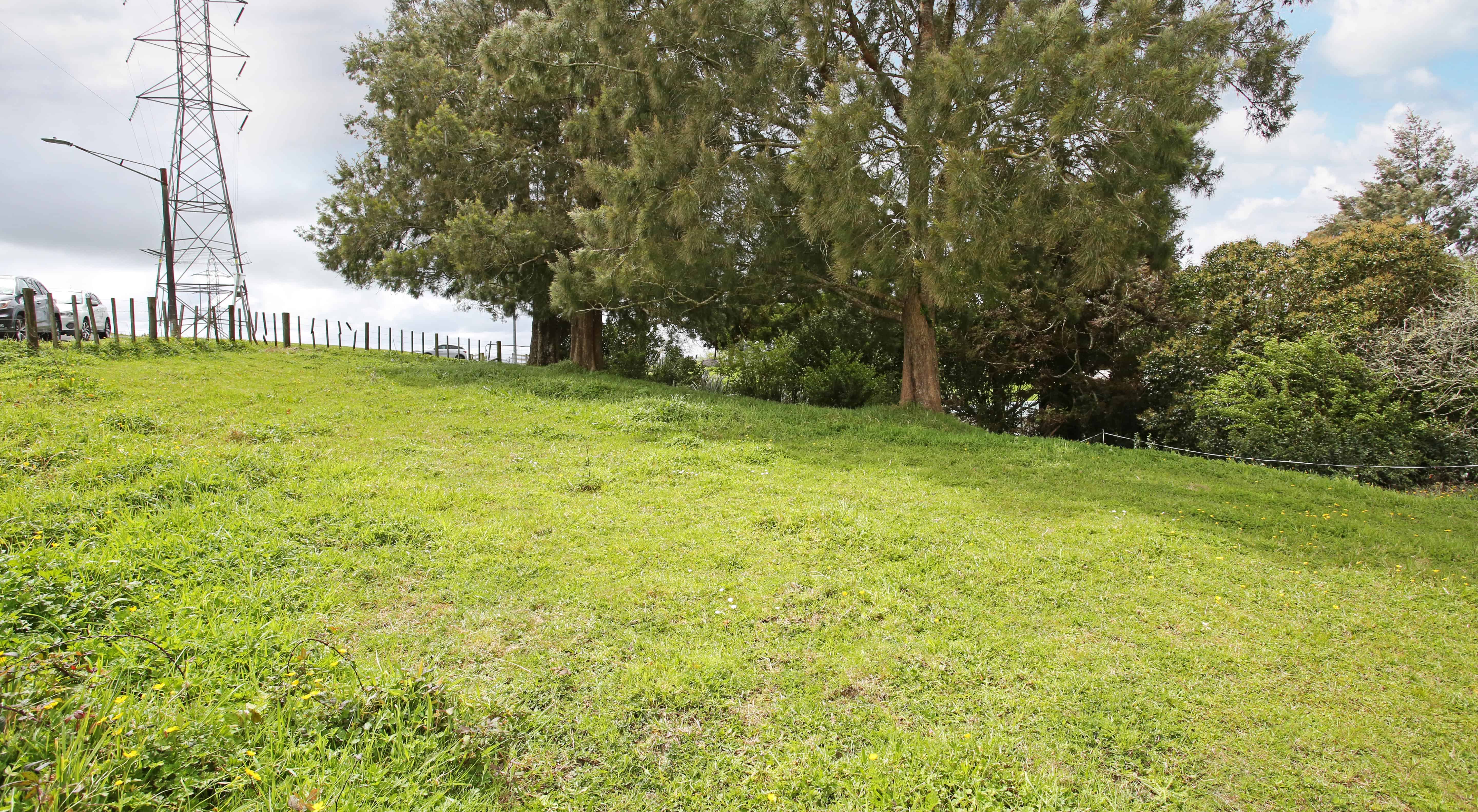 25a Heather Green Avenue, Meremere, Waikato For Sale realestate.co.nz