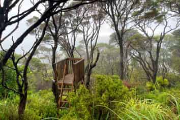 Station R/Lot 7 Medland Road, Great Barrier Island