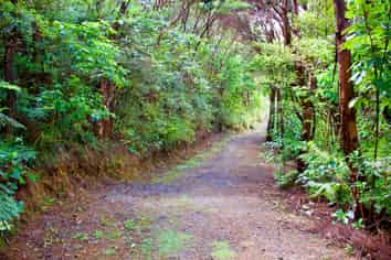 Station R/Lot 7 Medland Road, Great Barrier Island