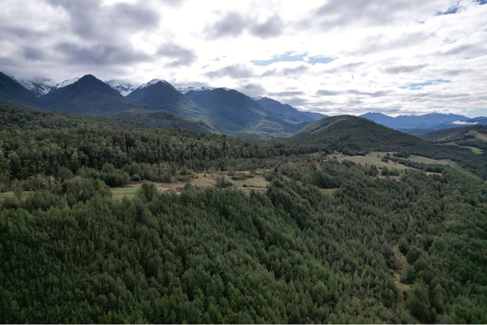 947 West Bank Maruia, Maruia, Hurunui For Sale realestate.co.nz