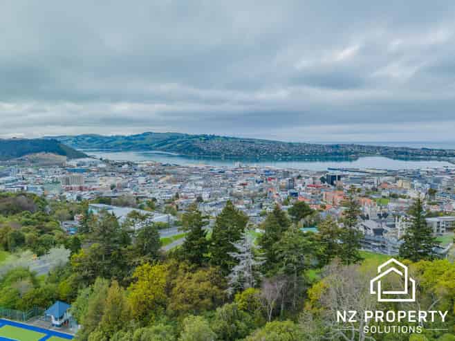 73A Sligo Terrace, Roslyn