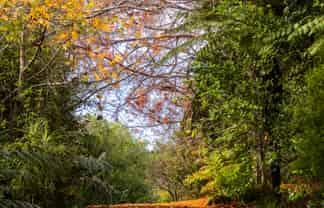 Lot 3 291 Sharp Road, Matakana