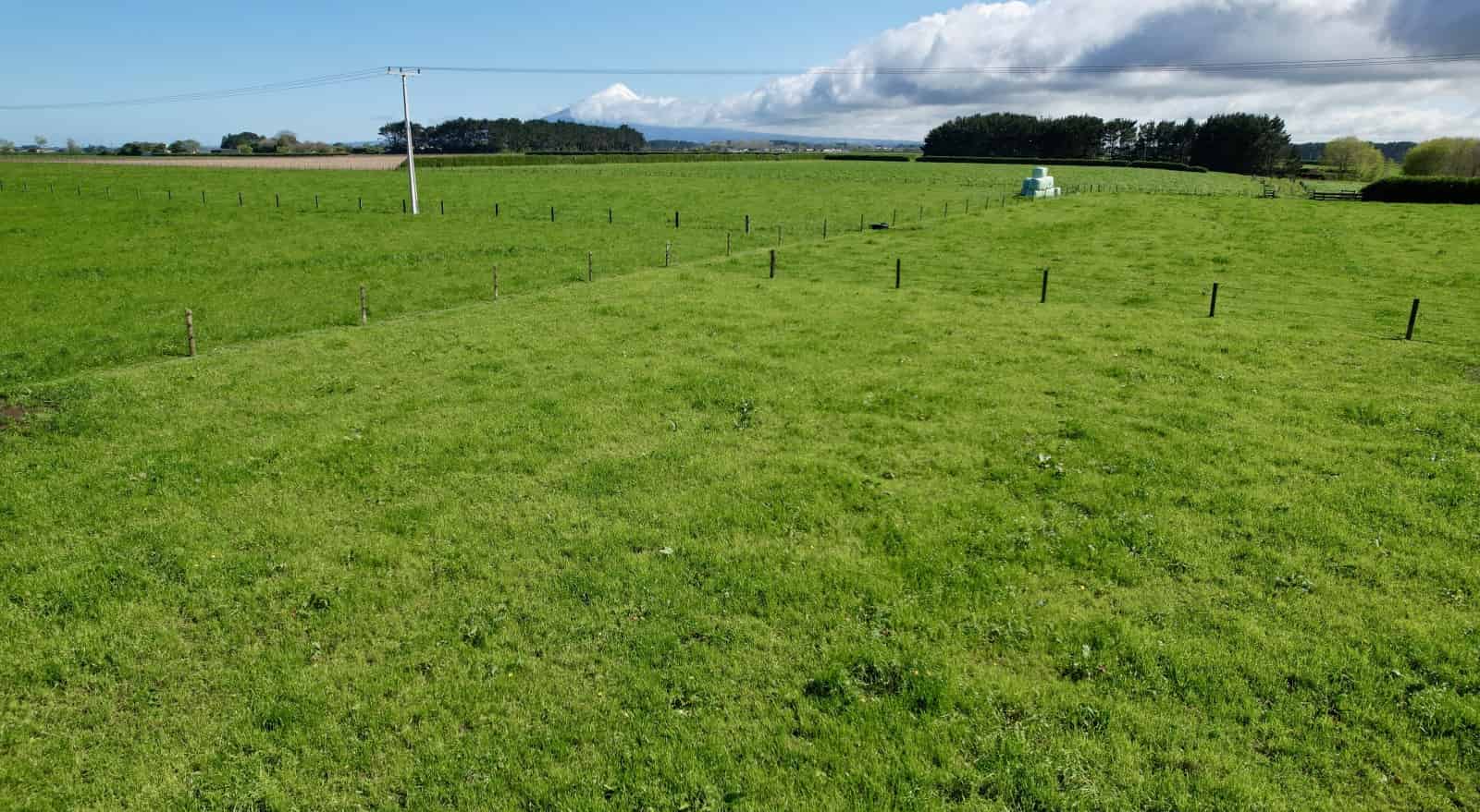 40 Arthur Street, Hawera, South Taranaki For Sale realestate.co.nz