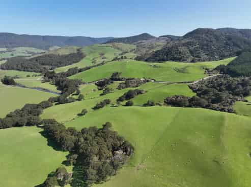 139 Morris Saddle Road, Owaka