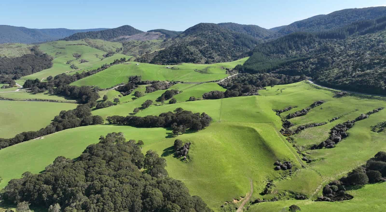 139 Morris Saddle Road, Owaka Valley, Clutha For Sale realestate.co.nz