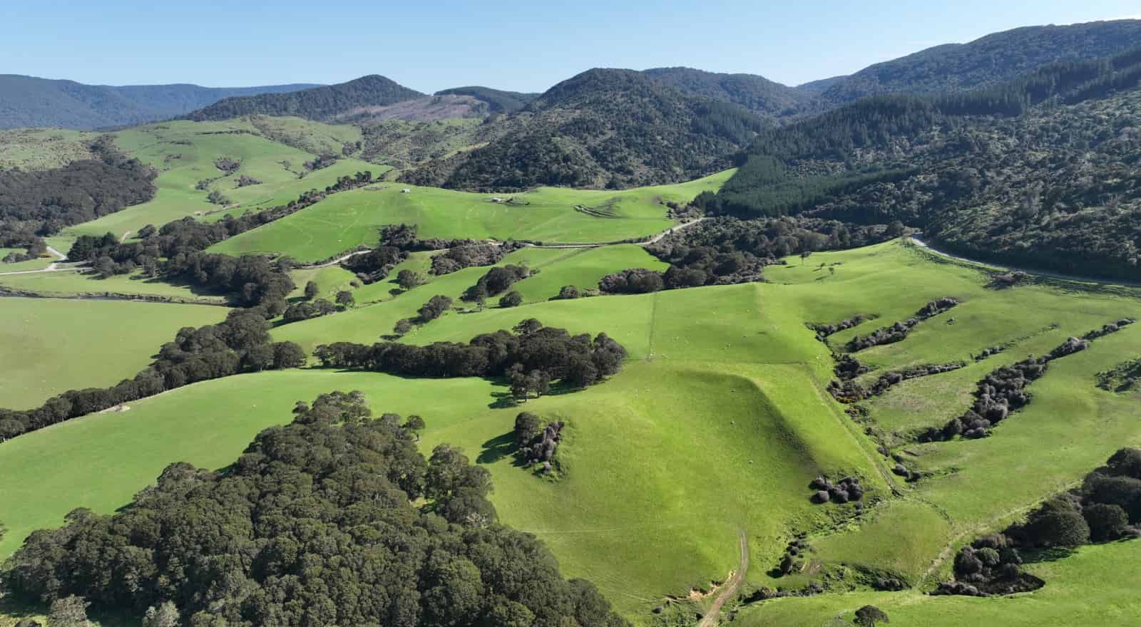 139 Morris Saddle Road, Owaka Valley, Clutha For Sale realestate.co.nz