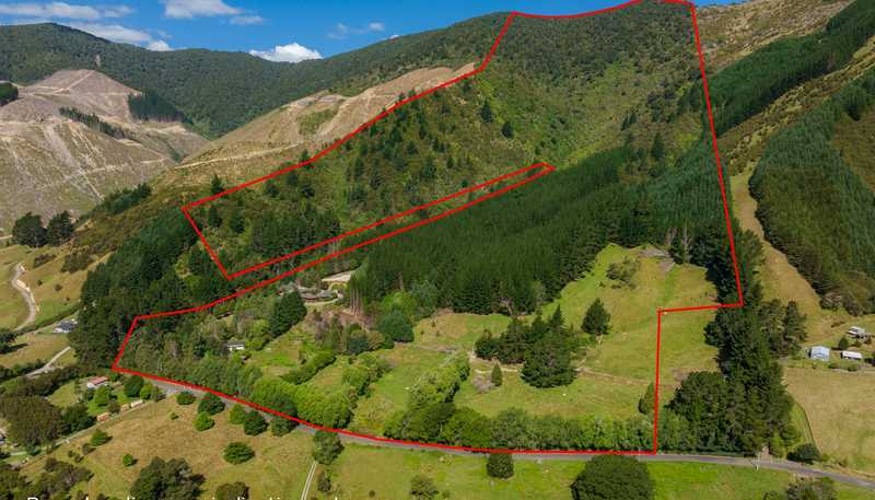 441 Wakamarina Road, Canvastown