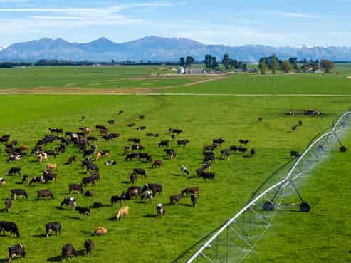 892 Orton Rangitata Mouth Road, Clandeboye