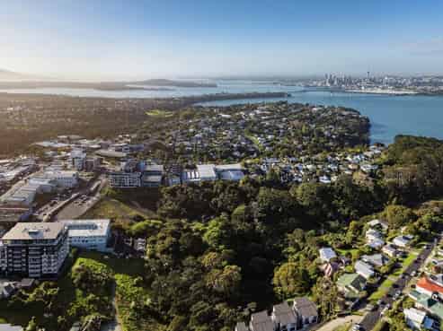 3Brm 82 Mokoia Road, Birkenhead
