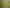 Lot 4 Glenelg Road, Makauri