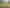 Lot 4 Glenelg Road, Makauri