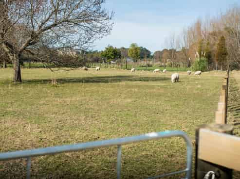Lot 4 Glenelg Road, Makauri