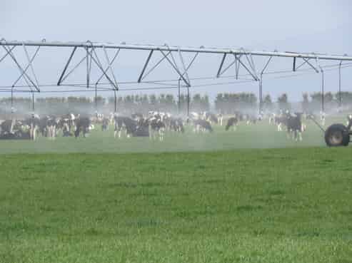 1509 Maronan Valetta Road, Westerfield