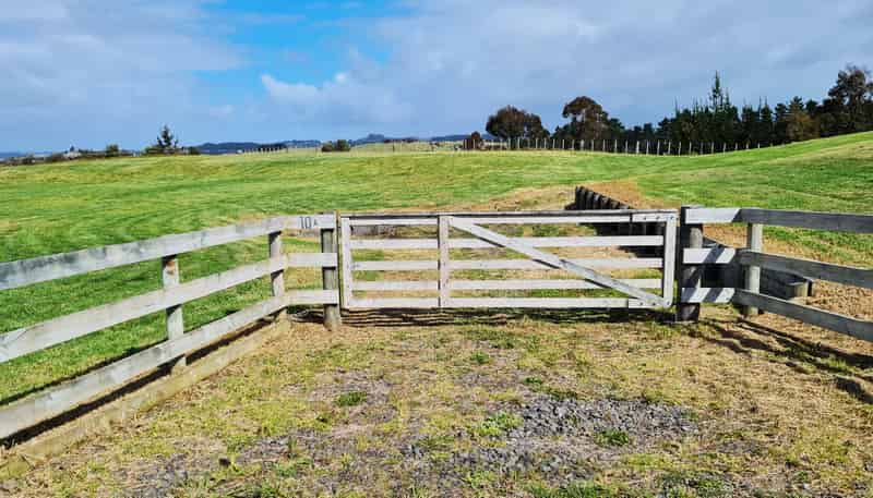A/10 Higham Road, South Head