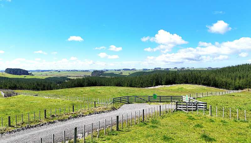 Lt 4,5,6,8 Babylon Coast Road, Dargaville