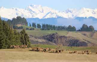 102 Talbot Road, Te Anau